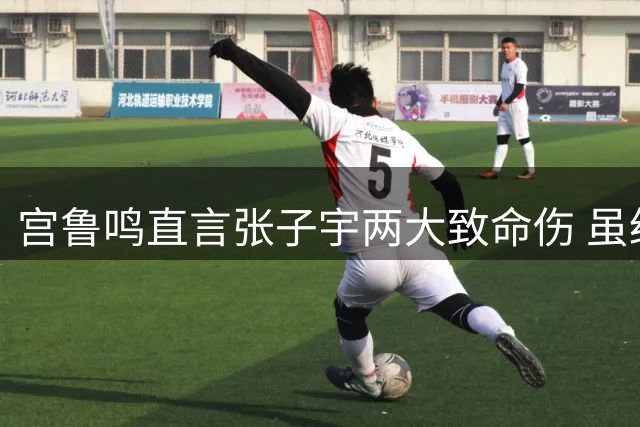宫鲁鸣直言张子宇两大致命伤 虽经王治郅调教难解困局